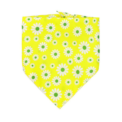 Chrysanthemum Bandana