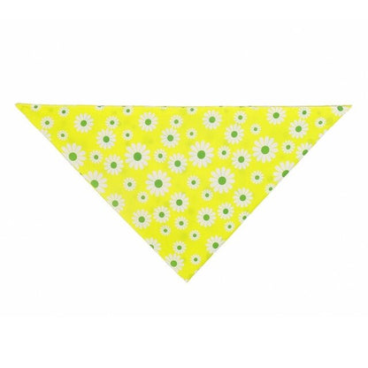 Chrysanthemum Bandana